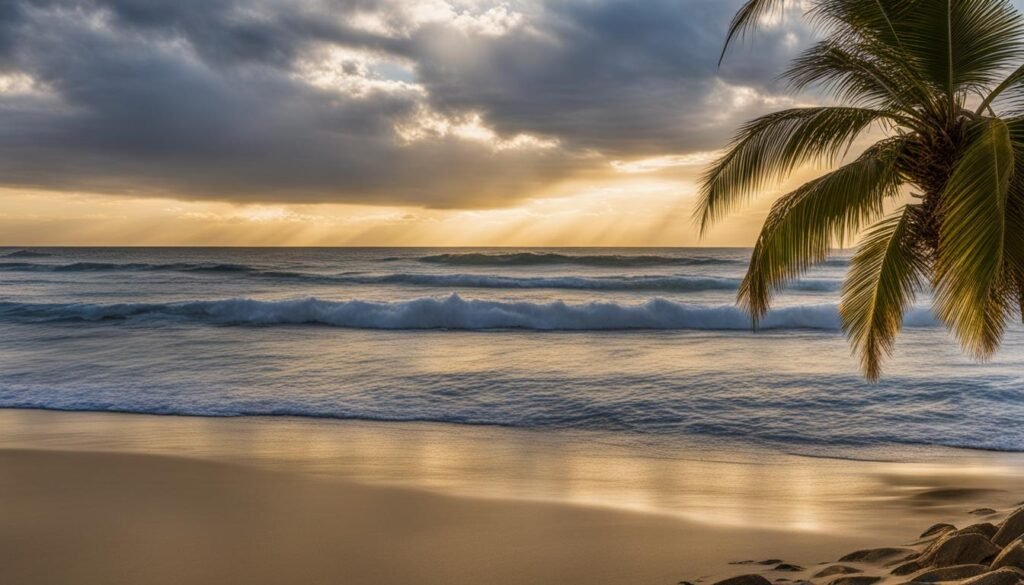 Gold Coast Australia Weather