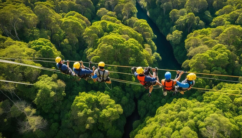 tree-top adventure